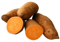 Sweet Potato