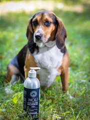 Icelandic Salmon Oil for Dogs and Cats