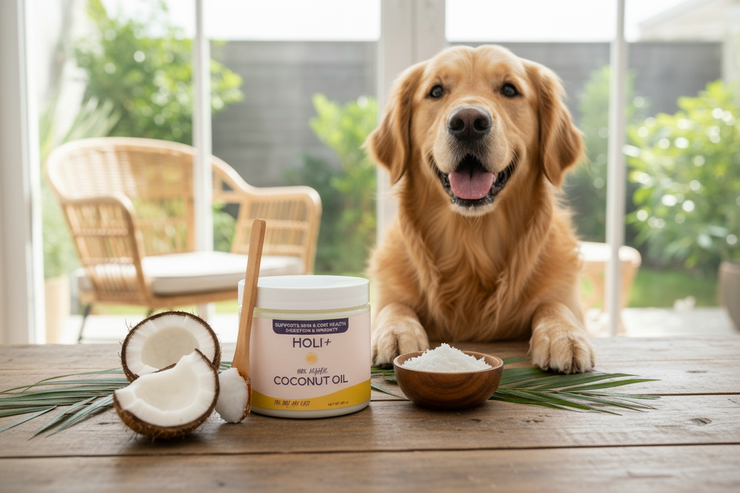 Coconut Oil & MCT Oil for Dogs: Science-Backed Benefits for Your Pet's Health