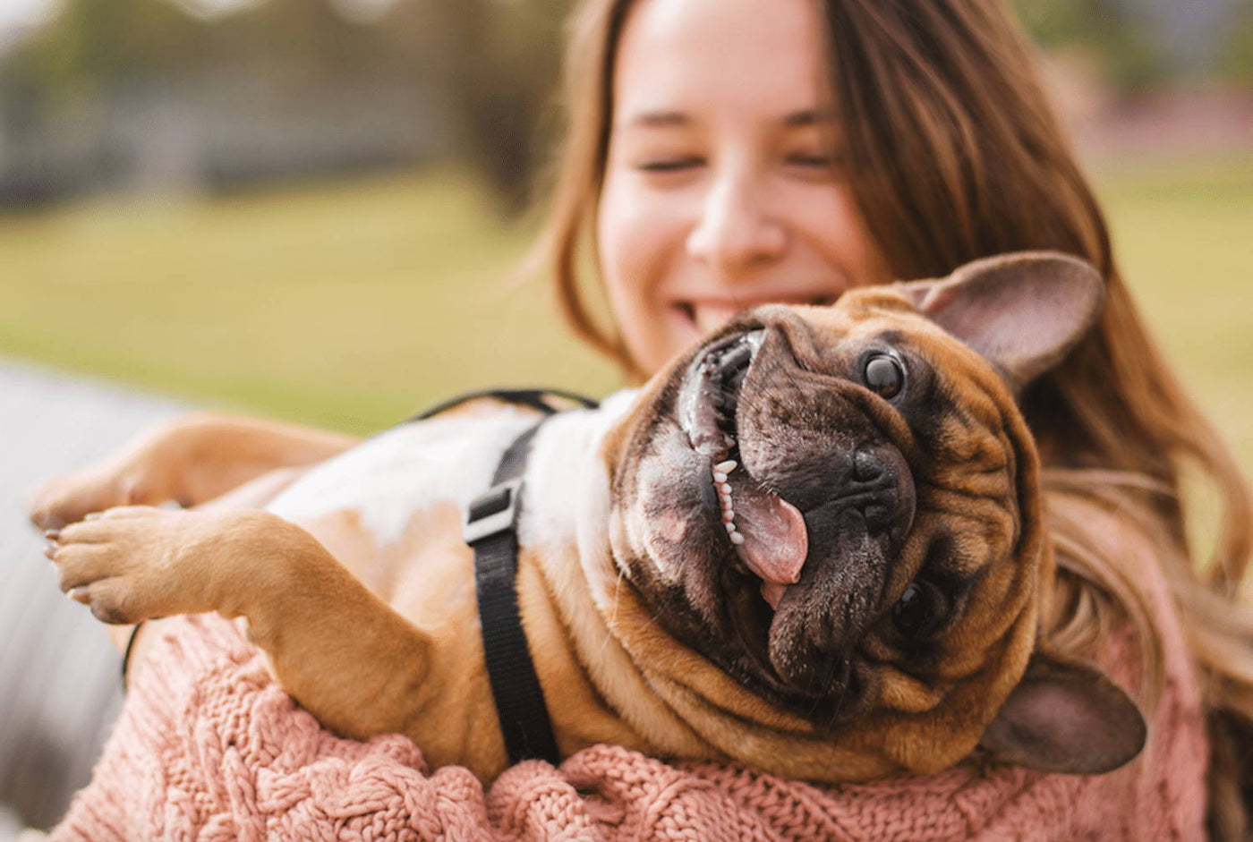 3 Ways to Bond with Your Canine Valentine