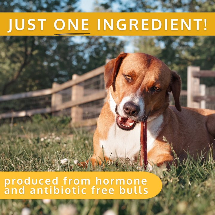 All Natural - Bully Sticks