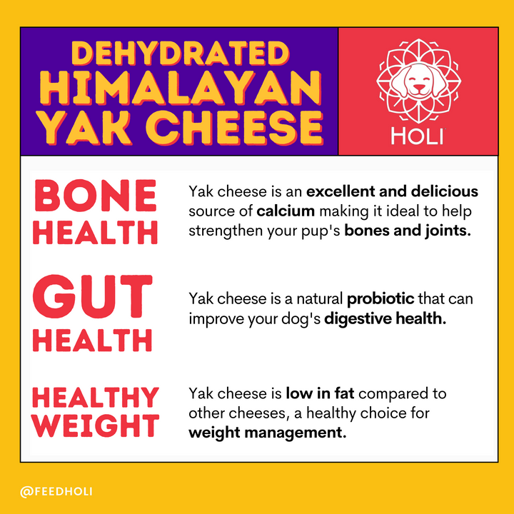 Dehydrated Himalayan Yak Cheese Dog Food Topper