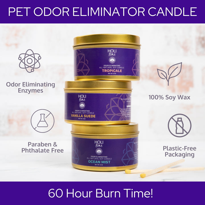 All Natural Soy Wax - Pet Odor Eliminator Candle