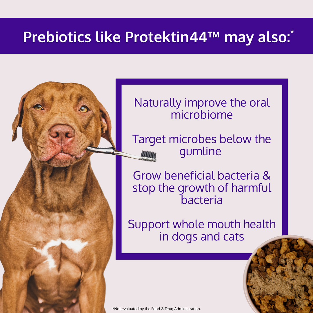 Dental Health Topper for Dogs – with Protektin44™ Prebiotics