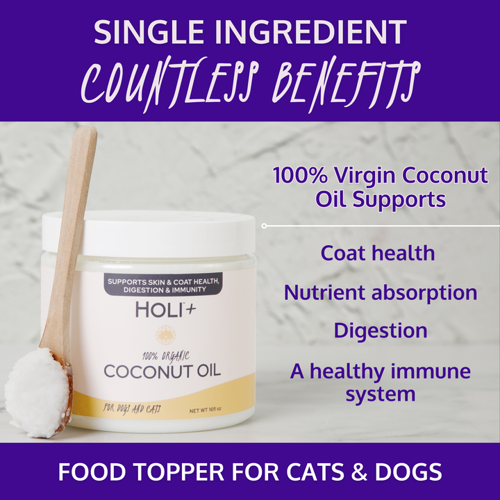 100% Organic Virgin Coconut Oil for Dogs & Cats – 16oz