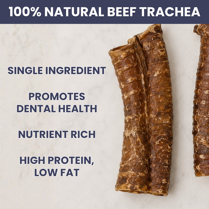 Beef Trachea - 6"