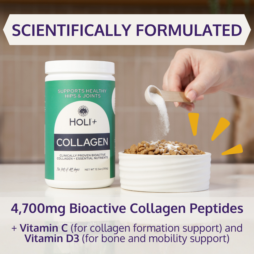 HOLI+ Collagen for Dogs