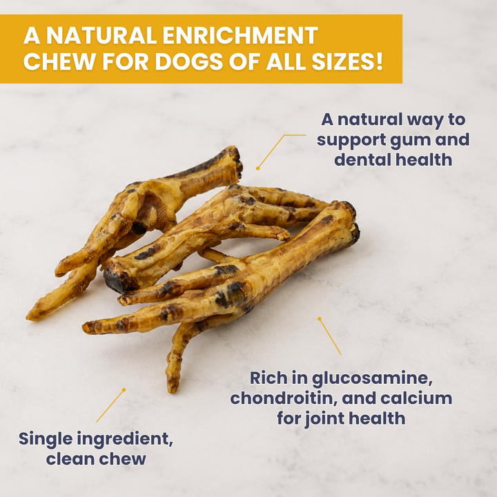 Dehydrated Chicken Feet - 25 Ct.