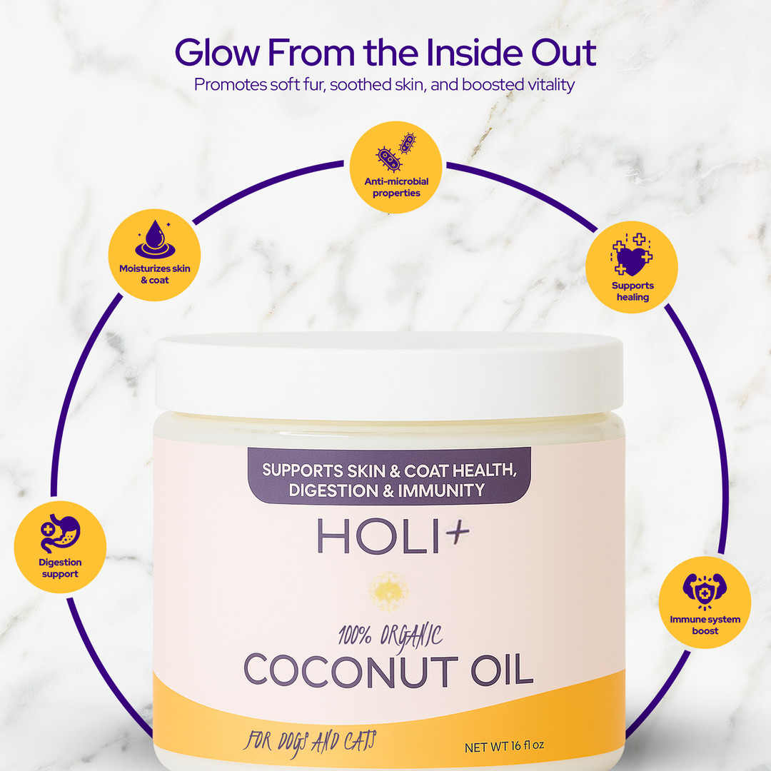 100% Organic Virgin Coconut Oil for Dogs & Cats – 16oz