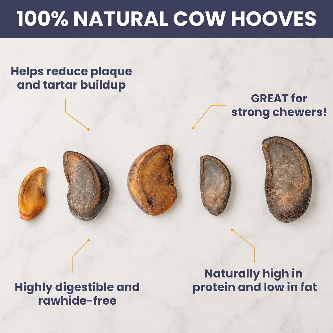 Cow Hooves - 10 Ct.