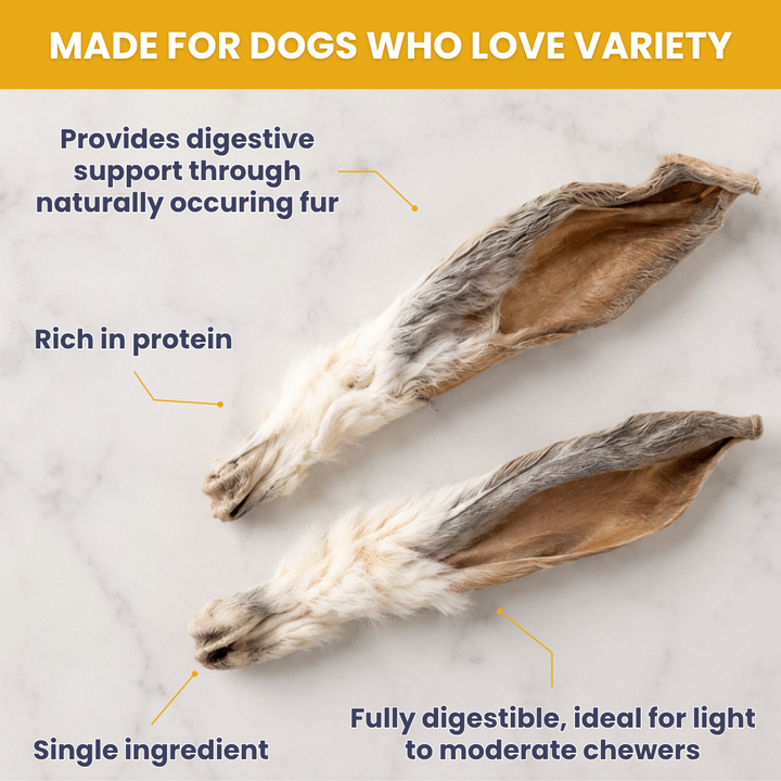 Furry Rabbit Ears - Pack of 10