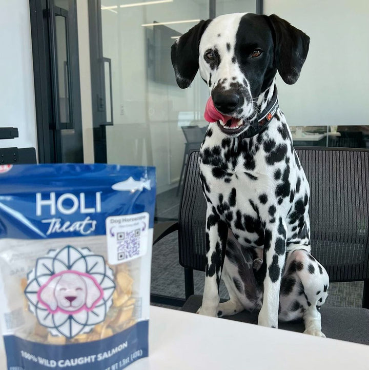 Wild Caught Salmon Dog Treats