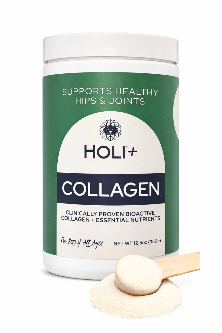 HOLI+ Collagen for Dogs