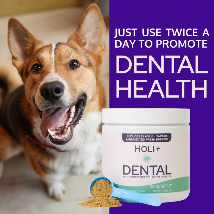 Dental Health Topper for Dogs – with Protektin44™ Prebiotics