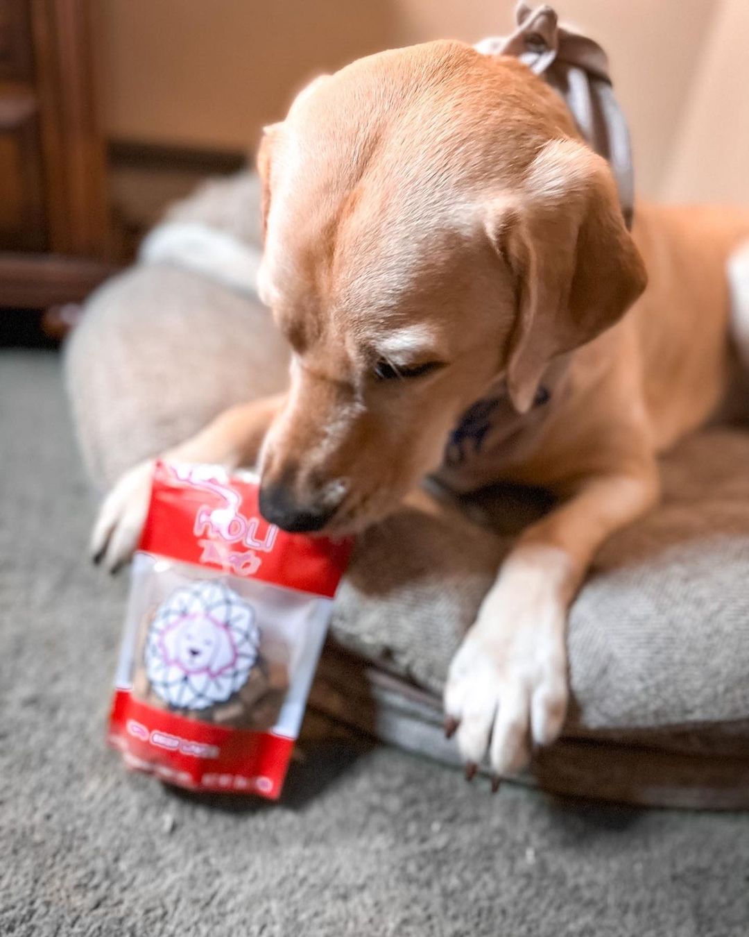 Beef Liver Dog Treats