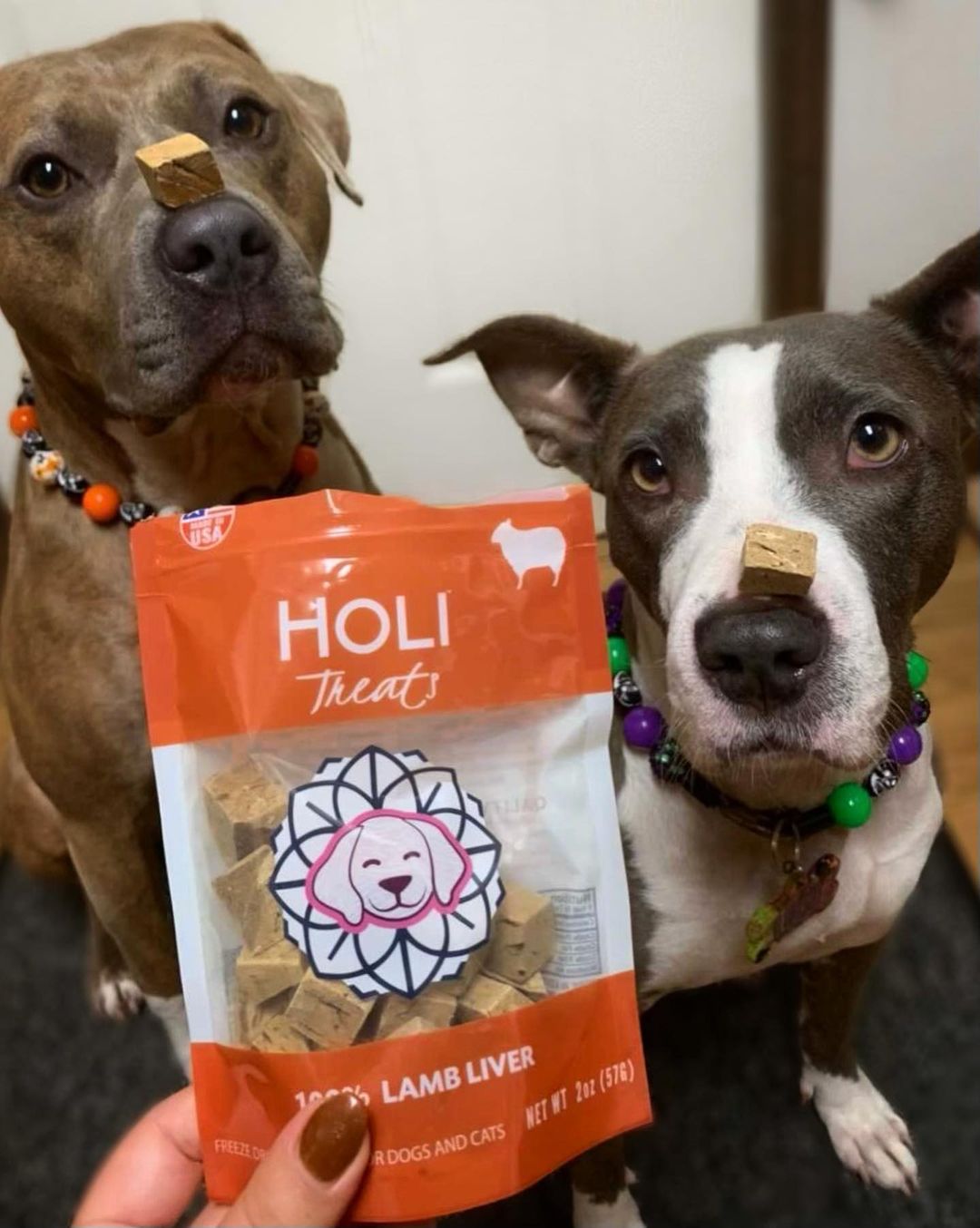 Lamb Liver Dog Treats