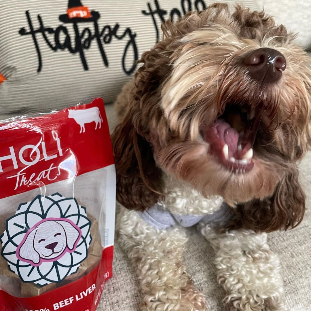 Beef Liver Dog Treats