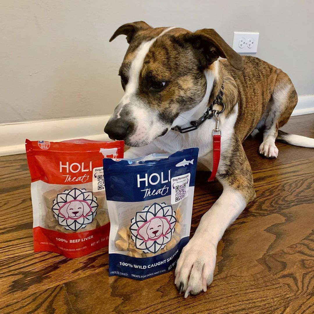 Wild Caught Salmon Dog Treats