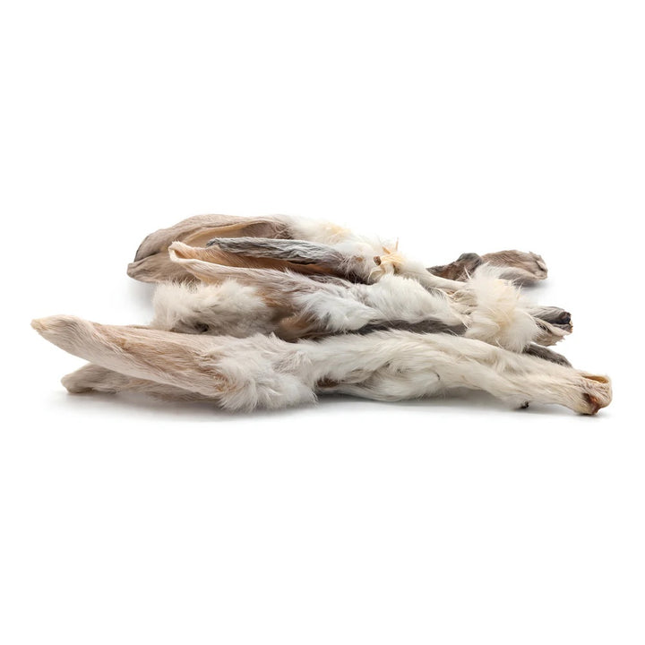 Furry Rabbit Ears - Pack of 10