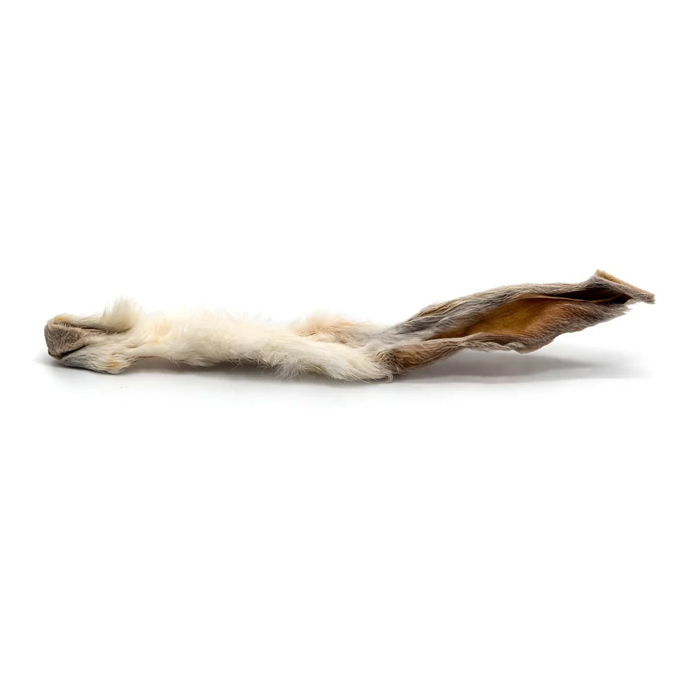 Furry Rabbit Ears - Pack of 10