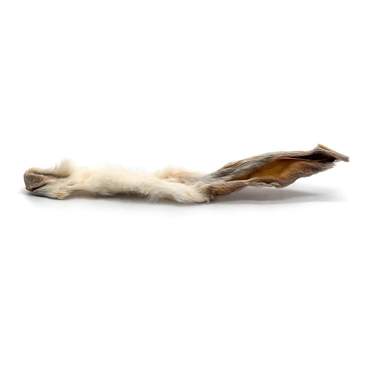 Furry Rabbit Ears - Pack of 10