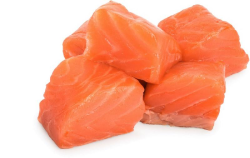 Salmon