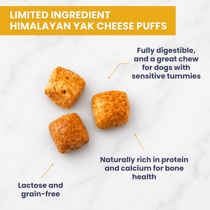 Himalayan Yak Cheese Puffs