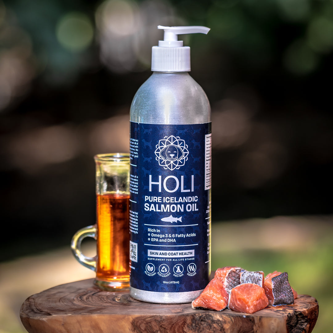 FeedHoli Holi Icelandic Salmon Oil Supplement
