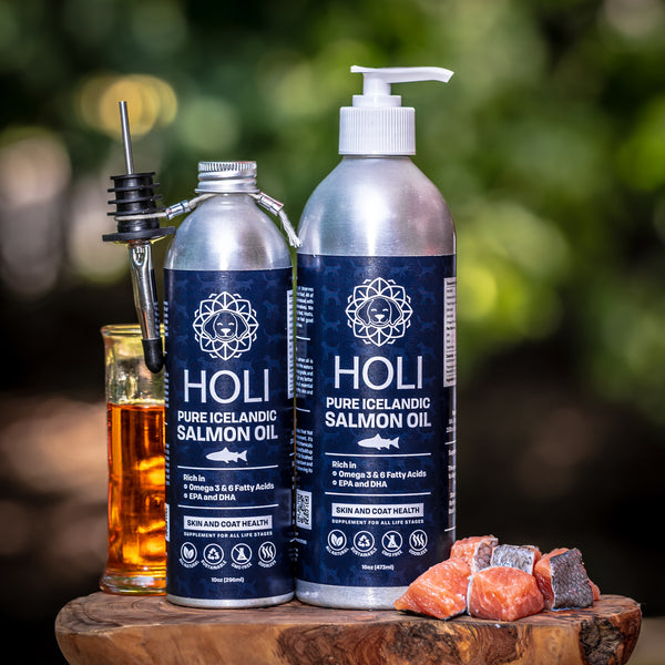 Iceland salmon sales oil