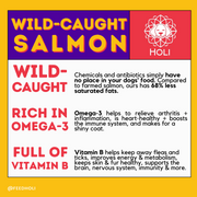 Wild Caught Salmon Dog Food Topper