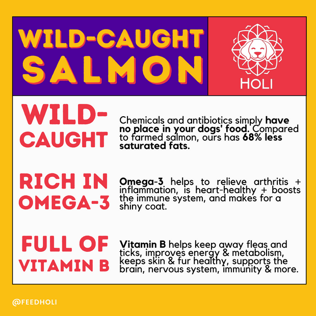 Wild Caught Salmon Dog Treats