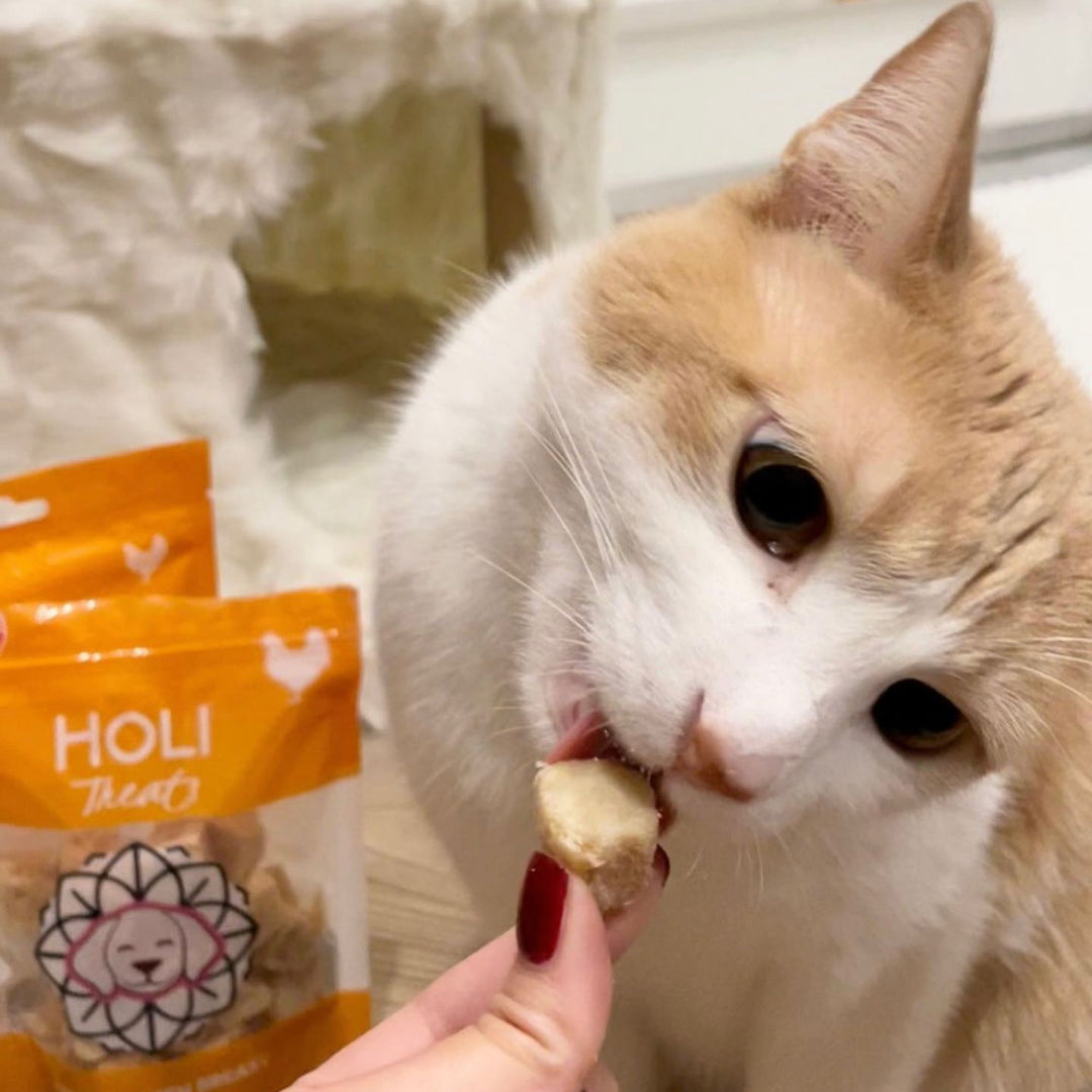 Chicken Breast Dog Treats